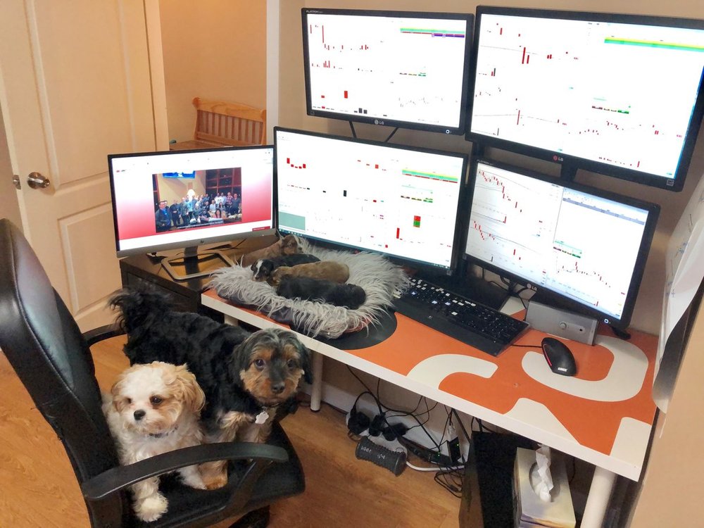 bear bull trader.jpg