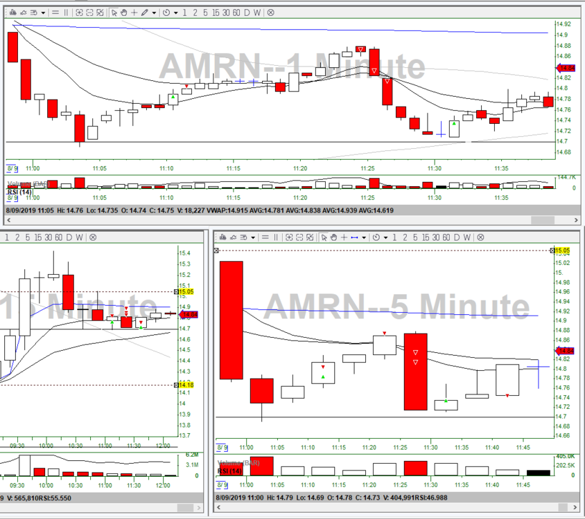 8-9-19 AMRN 1111.png