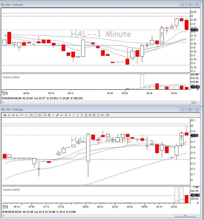 HAL - Long (16.09.19).JPG