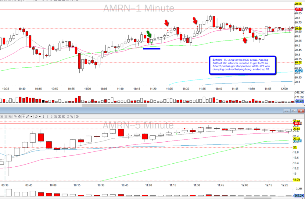 1365234801_2019-11-12_AMRN_TT.thumb.png.a6e0828487538c922aa97f6329d8c11d.png