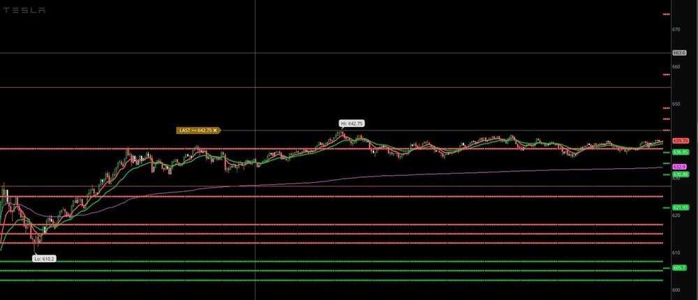 TSLA TOS CAM PIVOTS.JPG