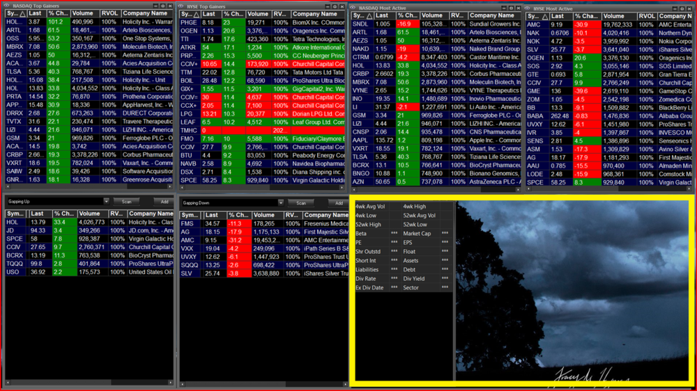 Screenshot 2021-02-02 081313 Scanner Screen.png
