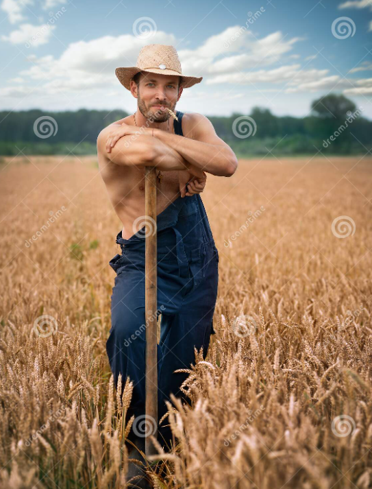 image.png.2e951894a8a9d8867da1bec0d720dba3.png