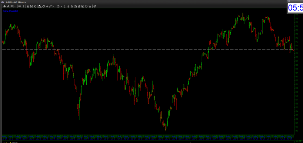 White Dotted Line.PNG