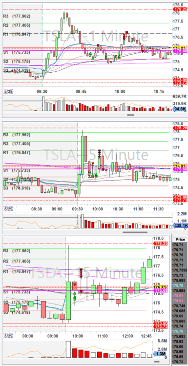 Screenshot 2024-05-29 145654.5.29TSLA.png