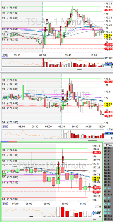 Screenshot 2024-06-10 135110.6.1.TSLA.png