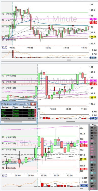 Screenshot 2024-06-21 143422.6.21.TSLA.png