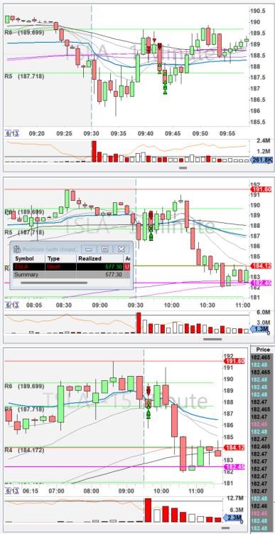 Screenshot 2024-06-13 161013.6.13.TSLA.png